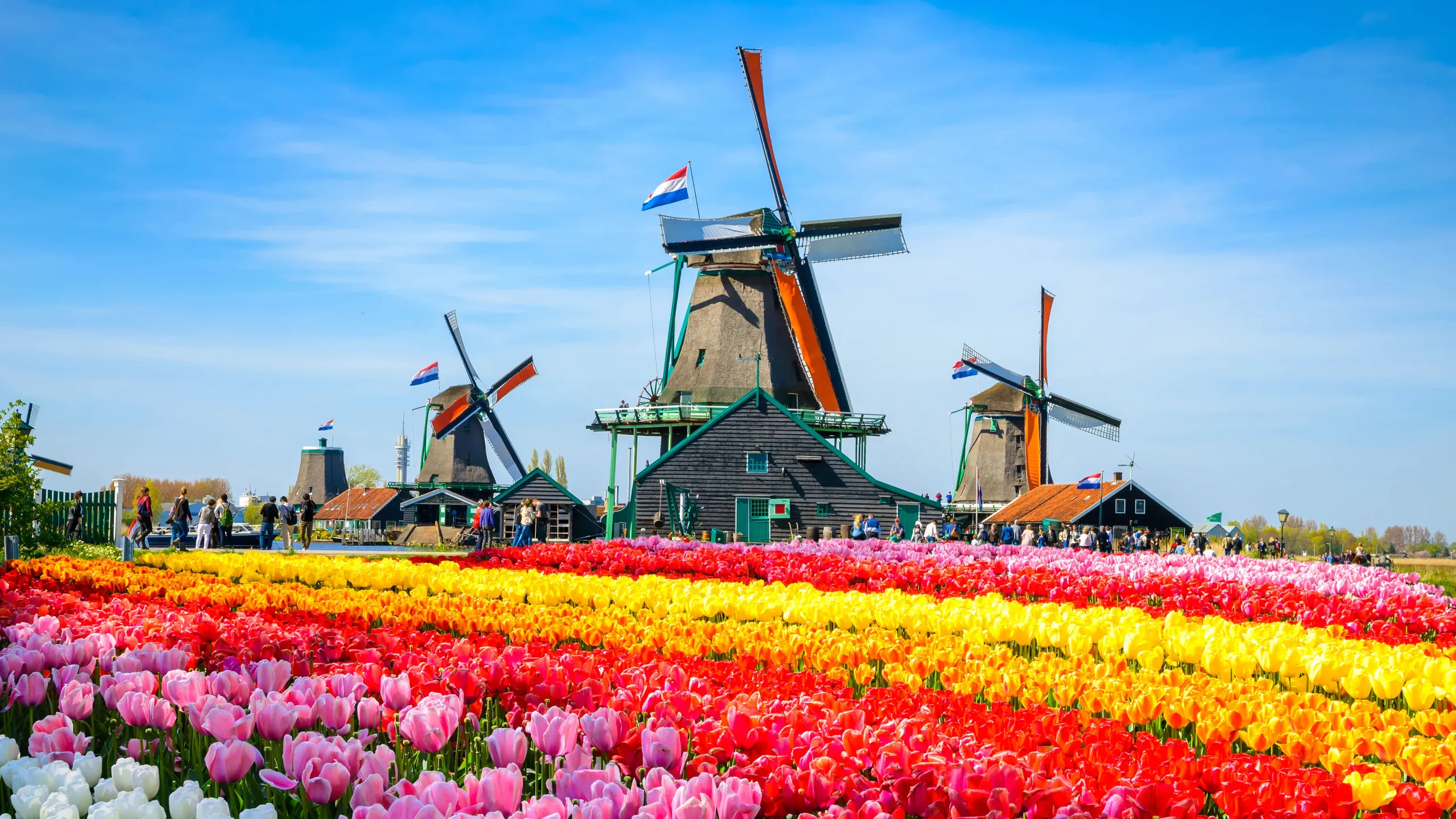 Amsterdam – færgehavn og rejsemålsguide