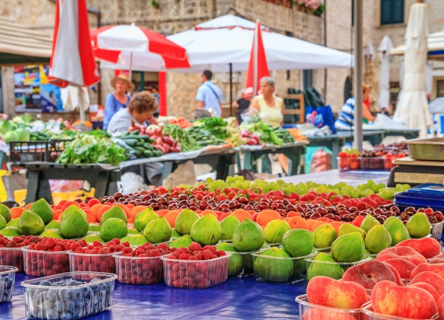 Dubrovnik – færgehavn og rejsemålsguide