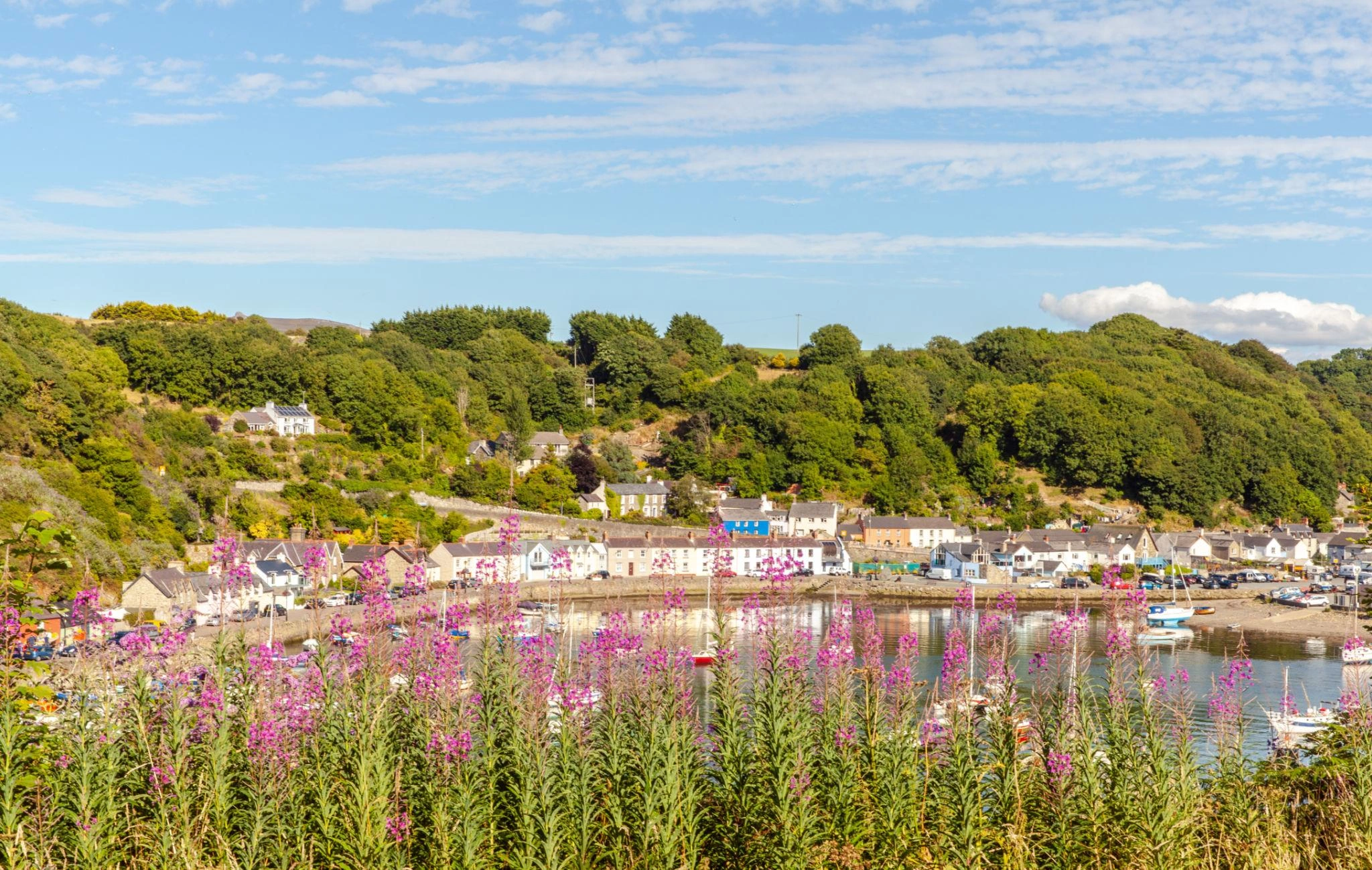 Fishguard – færgerejsemål