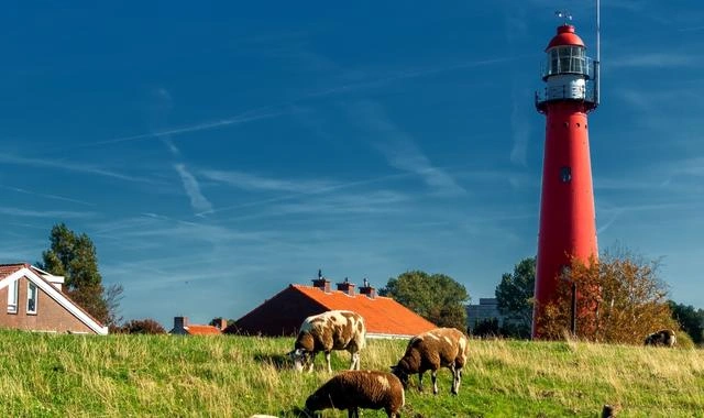 Hoek van Holland – færgehavn og rejsemålsguide