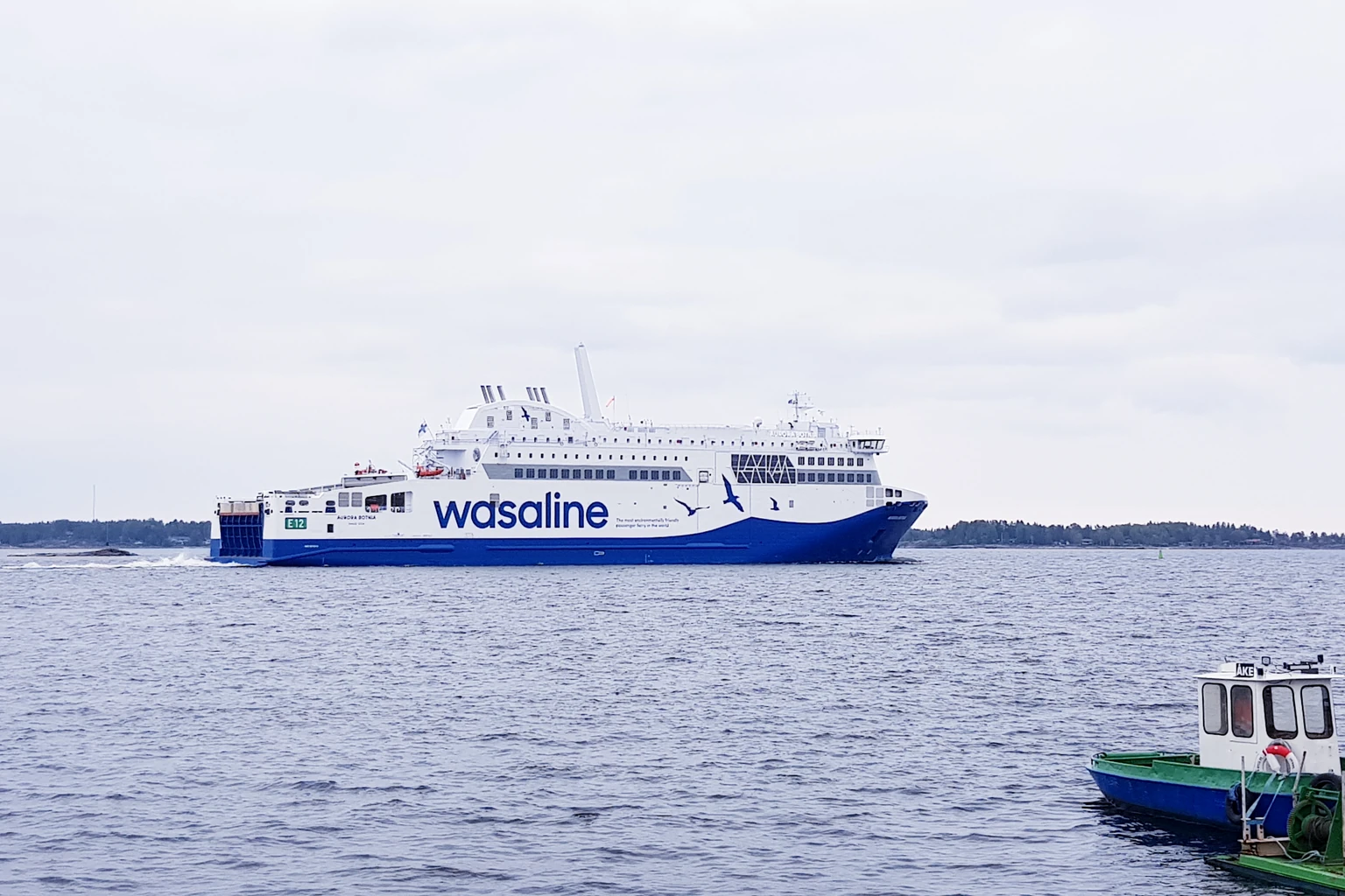 Wasaline – færgeselskab og rejseguide