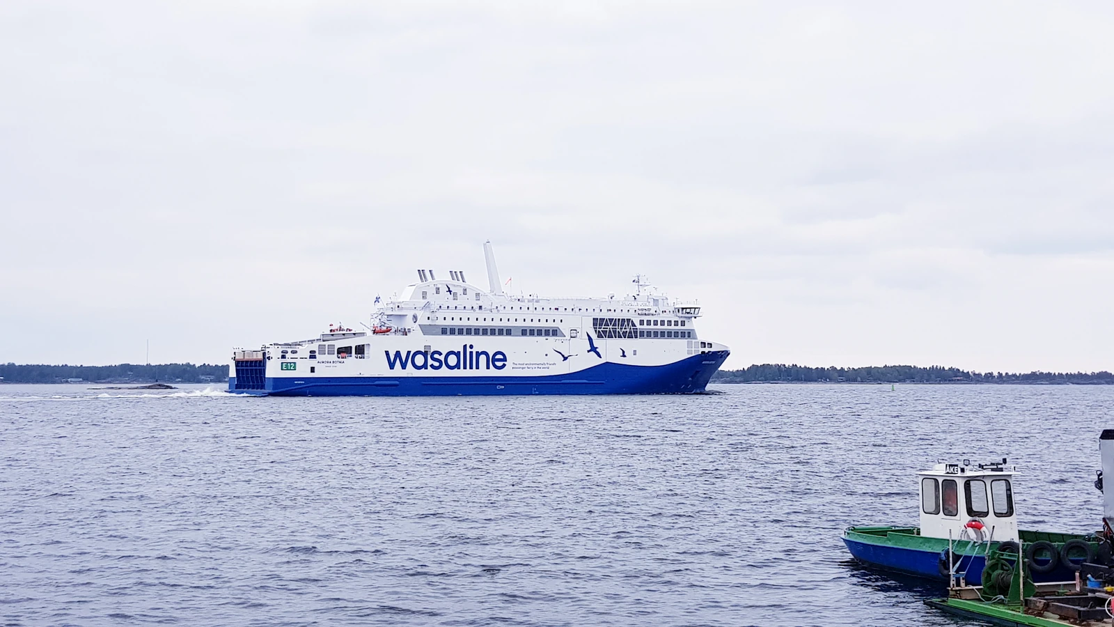 Wasaline – færgeselskab og rejseguide